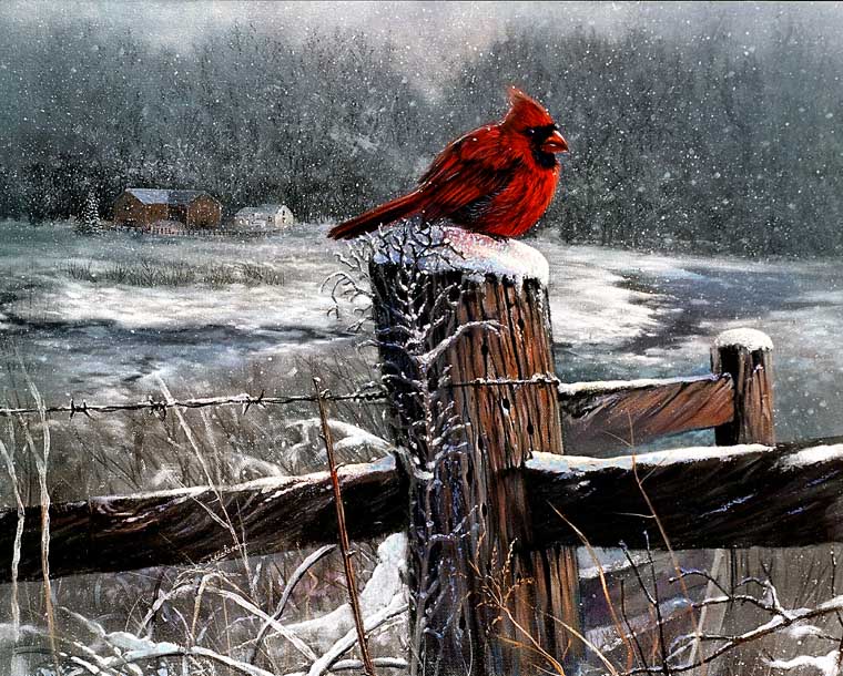 Cardnial Scene